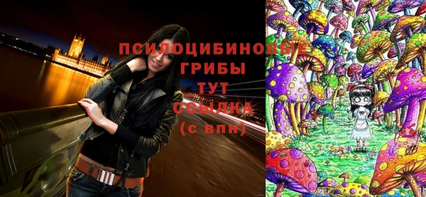 соль ск Алексеевка