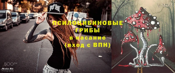 ECSTASY Алексин